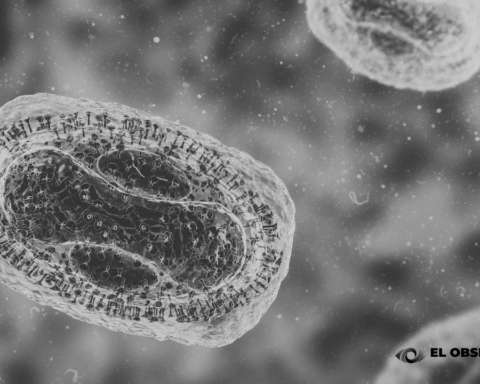 Detectan caso de la nueva variante de mpox en Alemania