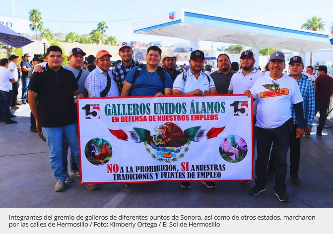Anuncian galleros megamarcha en Hermosillo por "Ley Animal"
