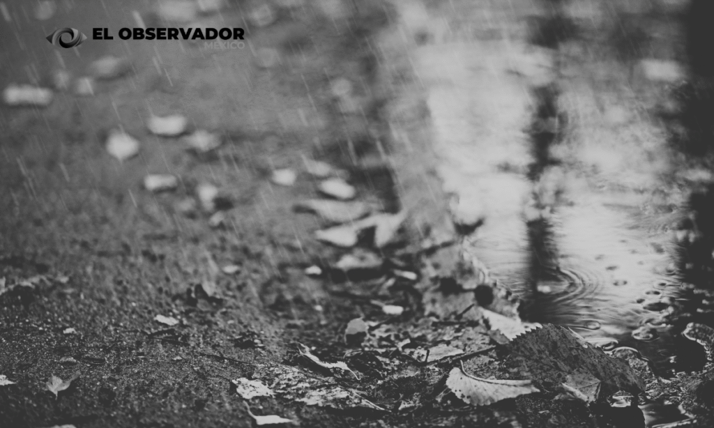 Ingreso de sistema frontal ocasionaría descenso en las temperaturas de varios sectores en Sonora