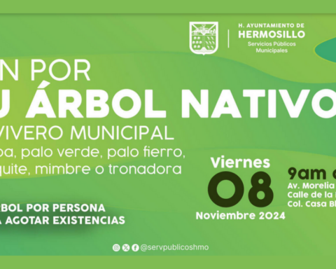 Donarán 500 árboles nativos este viernes en Vivero Municipal de Hermosillo
