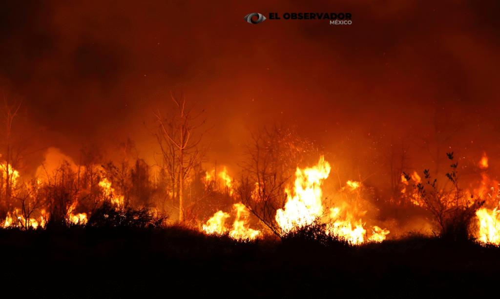 Producción de Disney+ causa incendio durante una filmación en SLP