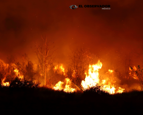Producción de Disney+ causa incendio durante una filmación en SLP