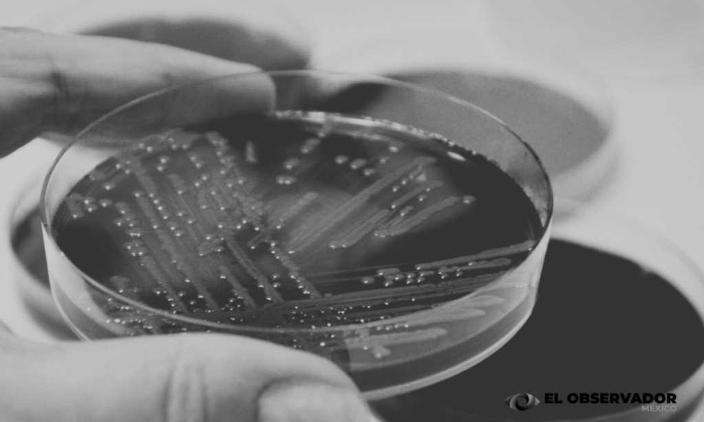 Emite la Secretaría de Salud alerta epidemiológica por 'Klebsiella oxytoca'