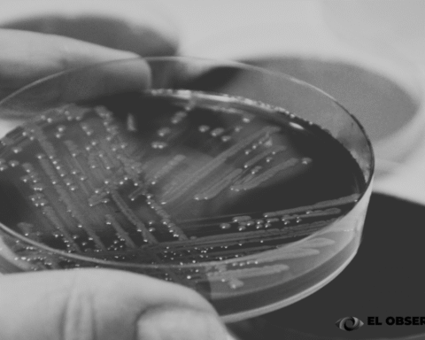 Emite la Secretaría de Salud alerta epidemiológica por 'Klebsiella oxytoca'