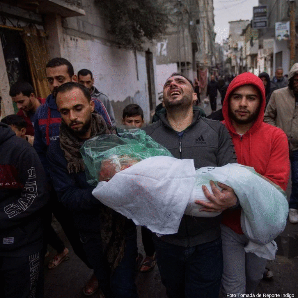 Amnistía Internacional califica como genocidio las acciones de Israel en Gaza