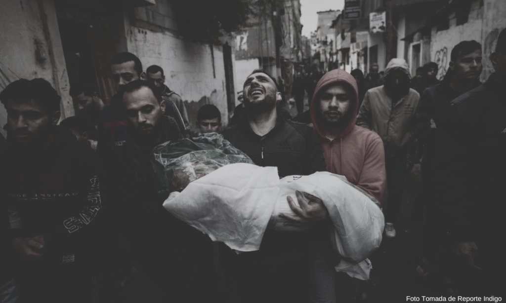 Amnistía Internacional califica como genocidio las acciones de Israel en Gaza