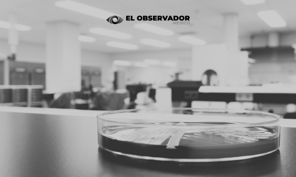 Se pierden 323 muestras de virus vivos altamente peligrosos