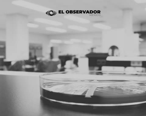 Se pierden 323 muestras de virus vivos altamente peligrosos