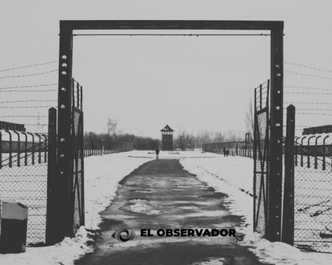 80 aniversario de la liberación de Auschwitz