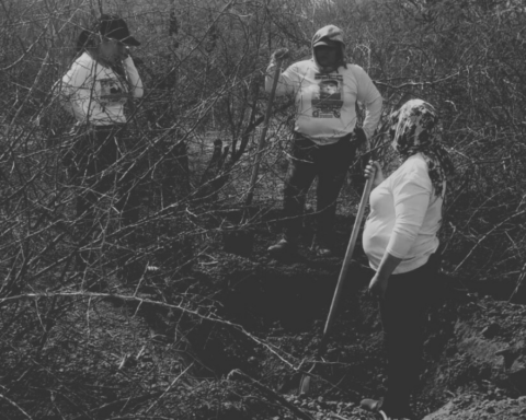 Buscadoras por la Paz hallan 35 fosas clandestinas a las afueras de Hermosillo