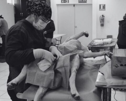 Inicia el año Gobierno de Sonora con jornadas de esterilización canina y felina