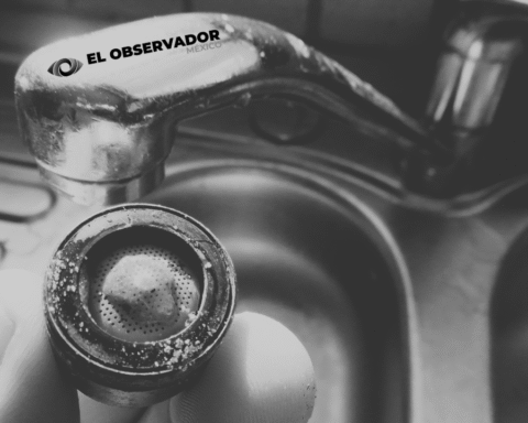 Estudio vincula al flúor con pérdida de coeficiente intelectual en niños