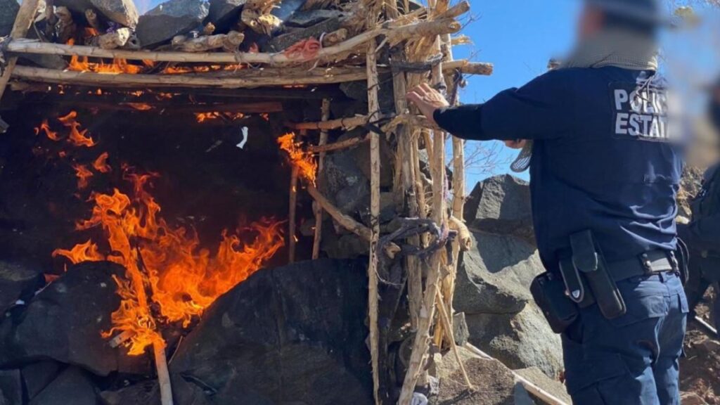 Desmantelan campamentos delictivos en la frontera de Sonora