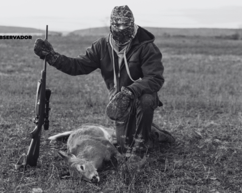 Cazadores son cazados en Caborca y les roban vehículo y rifles