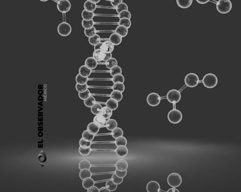 ADN
