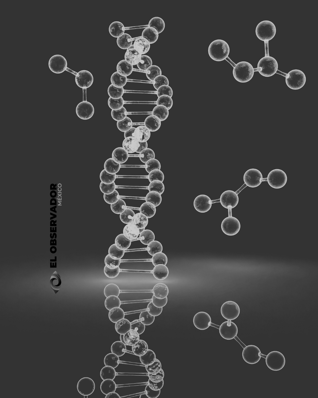 ADN
