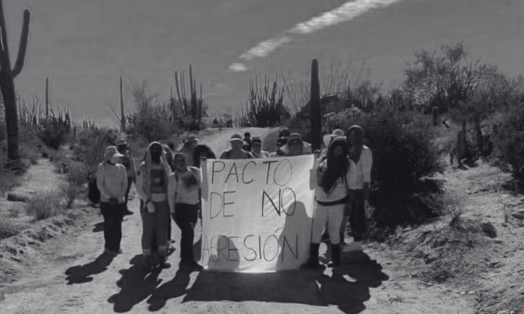 Colectivos en Sonora piden al crimen organizado un "pacto de no agresión" para buscar a sus desaparecidos