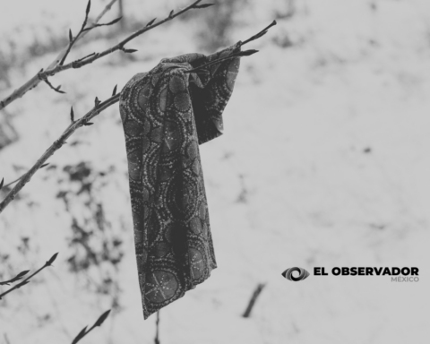 Alarma en Sonora por repunte de desapariciones de menores