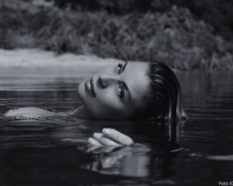 Ludwika Paleta