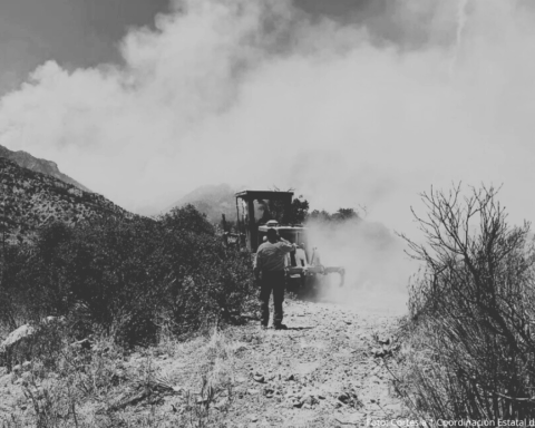 Alrededor de 32 mil hectáreas afectadas por incendios forestales en Sonora