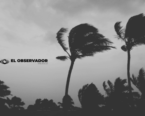 ‘Barry’ toca tierra en Veracruz; deja lluvias extremas en varias entidades