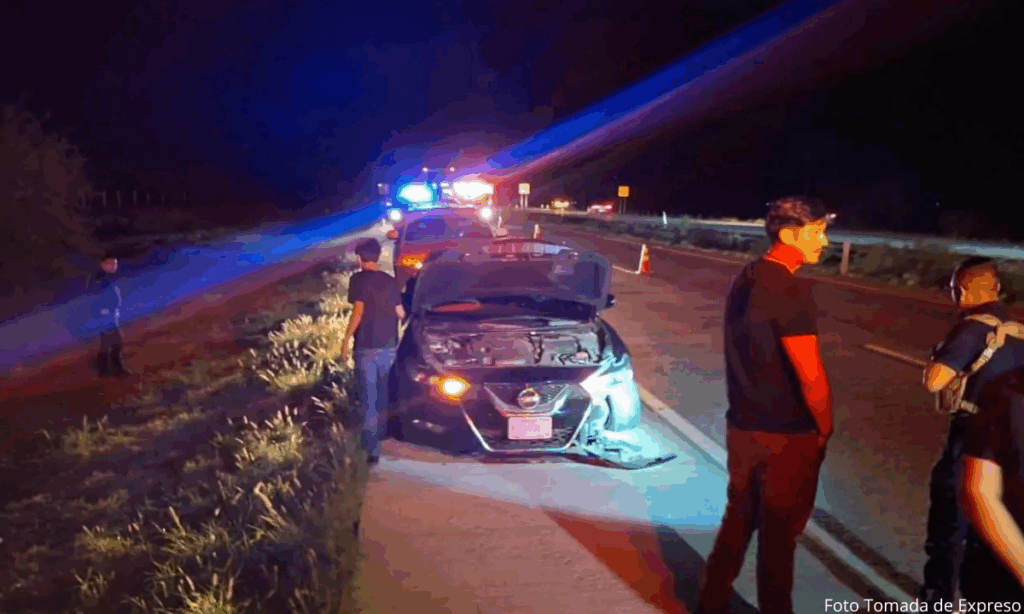 Vaca suelta provoca choque entre dos autos en carretera Santa Ana–Magdalena
