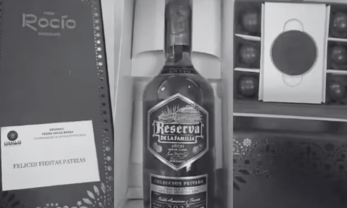 Diputado de Morena gasta más de un millón de pesos en arcones de lujo de ‘Andy’ López Beltrán