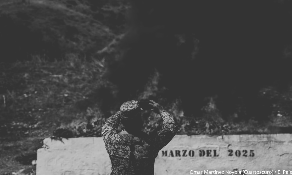 Decomiso