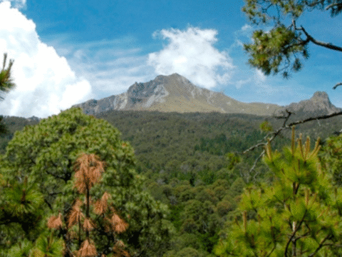 La malinche