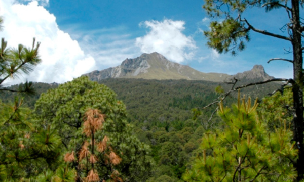 La malinche
