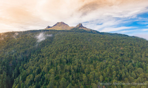 Semarnat da luz verde a Ecoparque en área natural protegida de la Malinche