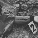 Homicidios en Mexico