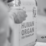 Sistema Universal de Salud