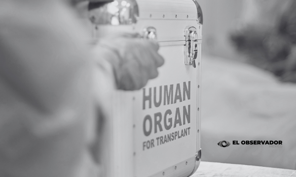 Sistema Universal de Salud