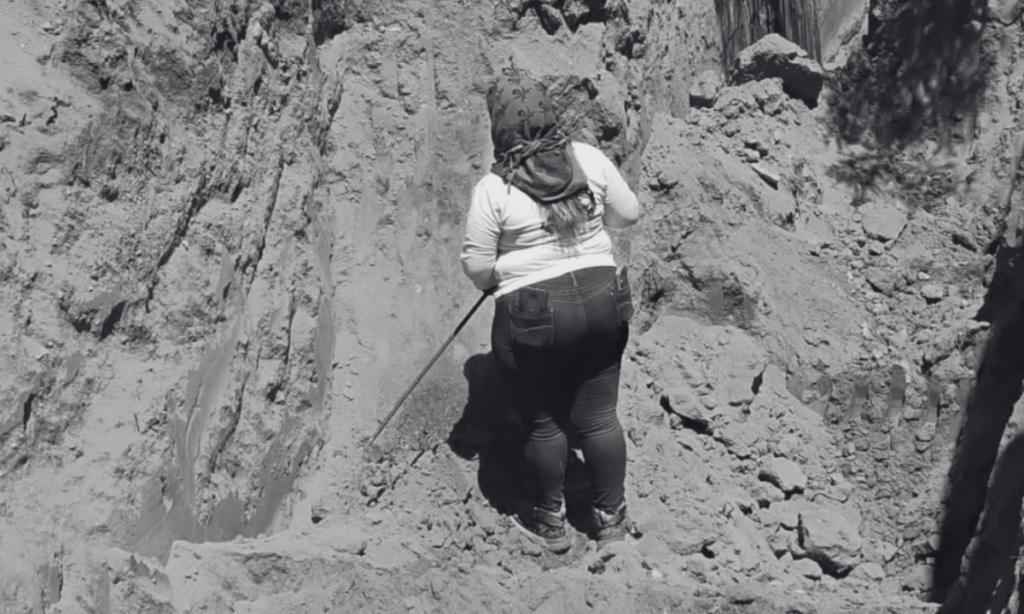 Cecilia Patricia Flores