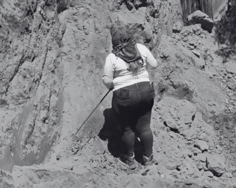 Cecilia Patricia Flores