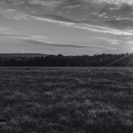 Productores prevén aumento de precios en alimentos del campo