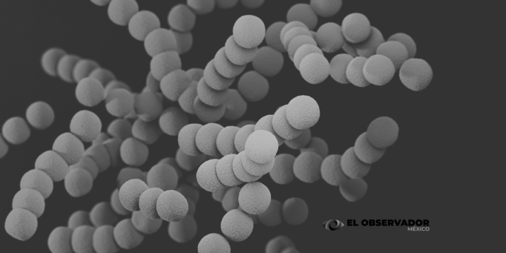 La IA abre nuevas posibilidades contra la resistencia bacteriana
