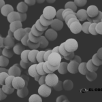 La IA abre nuevas posibilidades contra la resistencia bacteriana