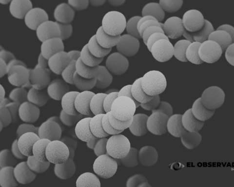 La IA abre nuevas posibilidades contra la resistencia bacteriana