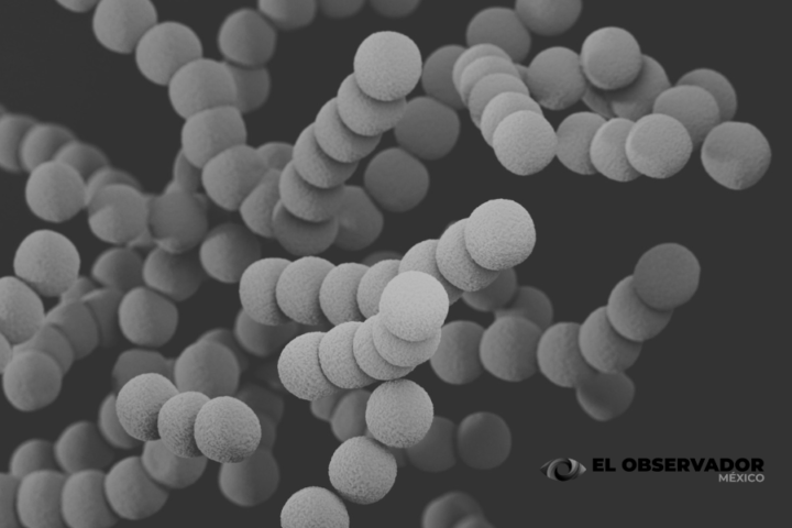La IA abre nuevas posibilidades contra la resistencia bacteriana