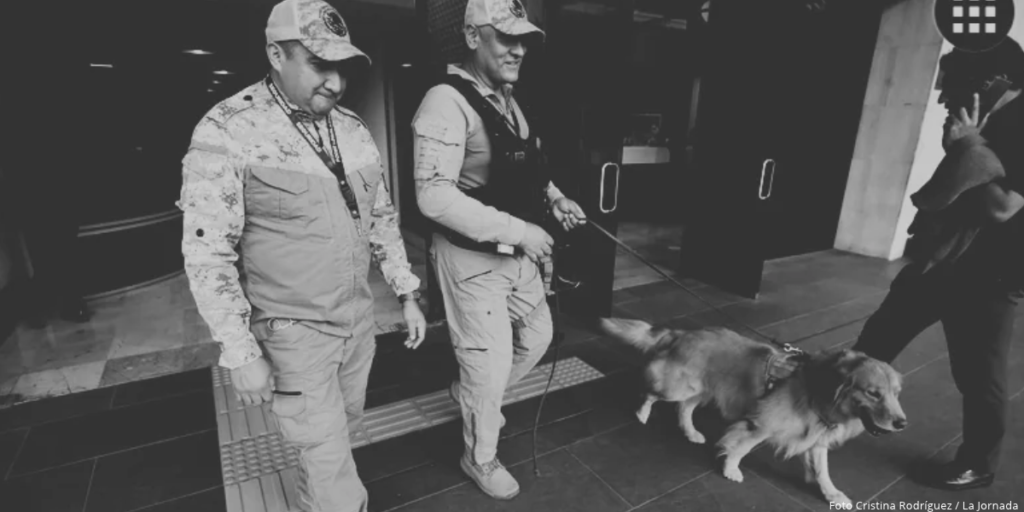 Detectan a 35 diputados armados en San Lázaro