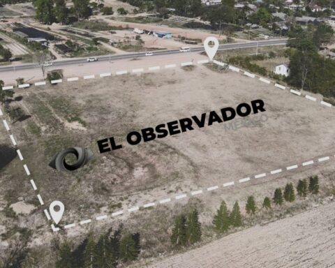 Ley Catastral