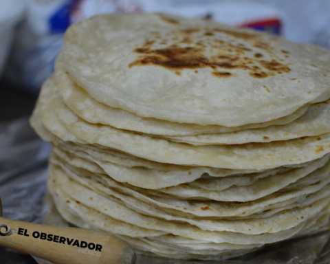 Cuántas tortillas de harina se recomienda comer, según expertos